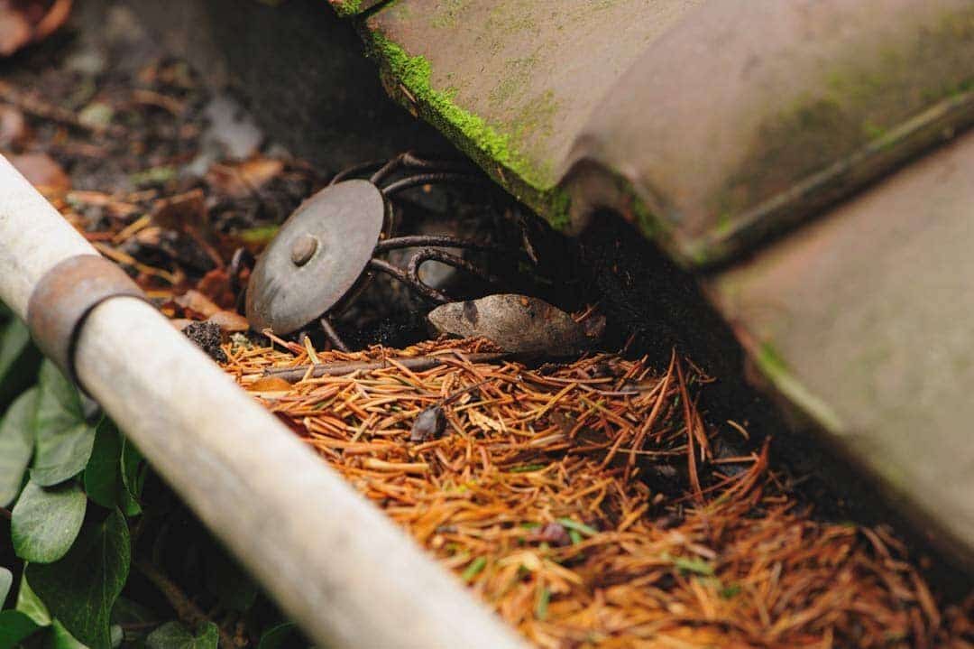 clogged roof guttering