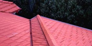 roof restoration cleaning