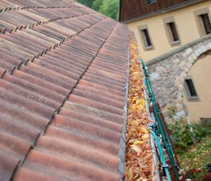 gutter filled with leaves
