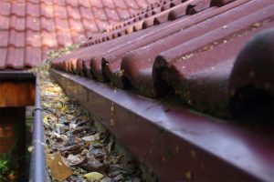 Dirty gutter filled with leaves