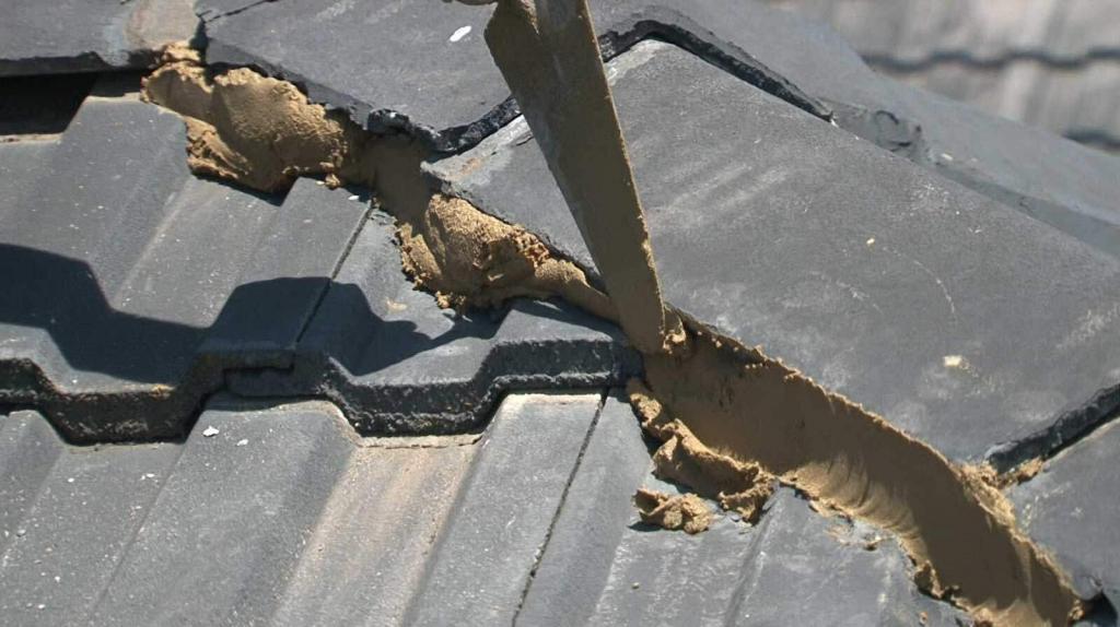 tradesperson repairing roof