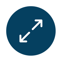 maximize icon