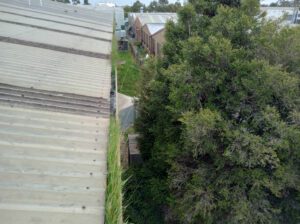DIY gutter cleaning before photo Melbourne