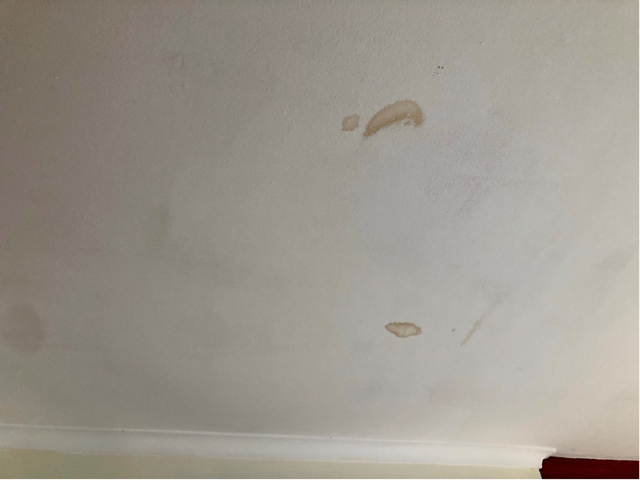 water damage on a roof in Croydon South