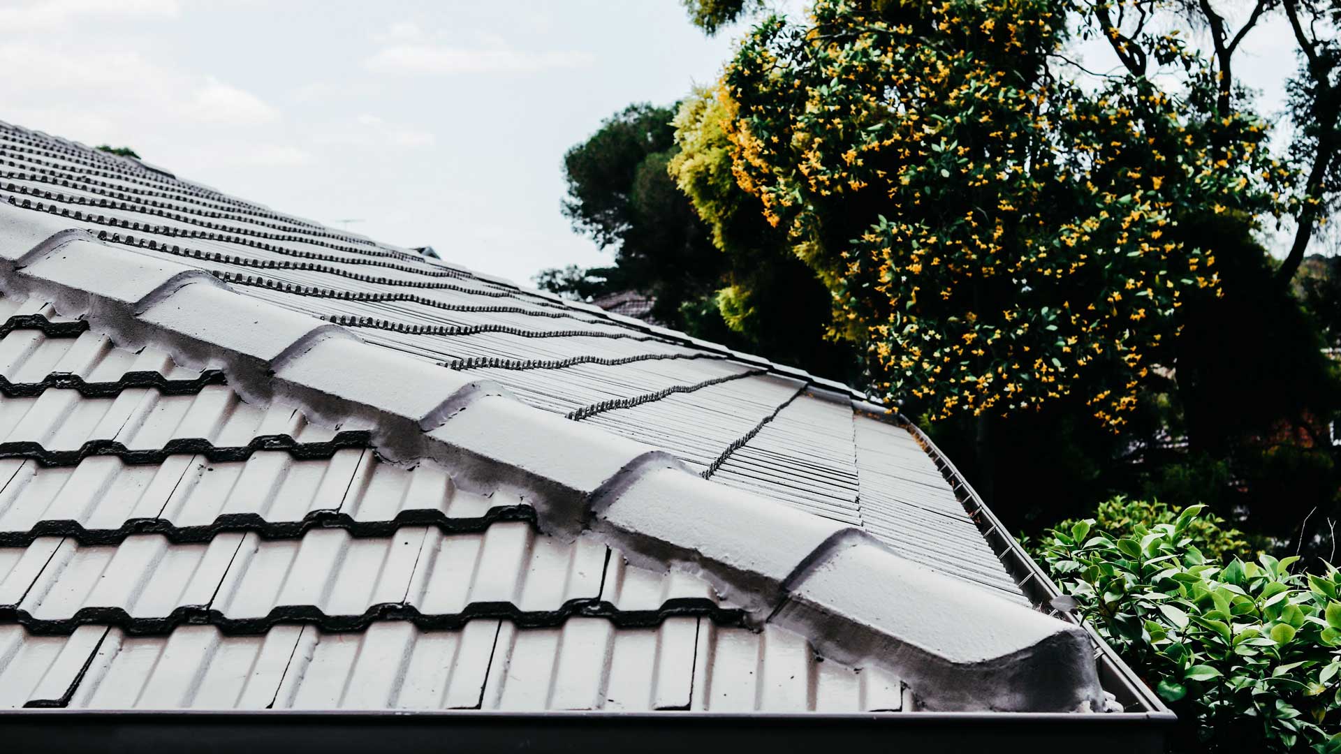 A Guide to Roof Repointing & Rebedding | PorterVac