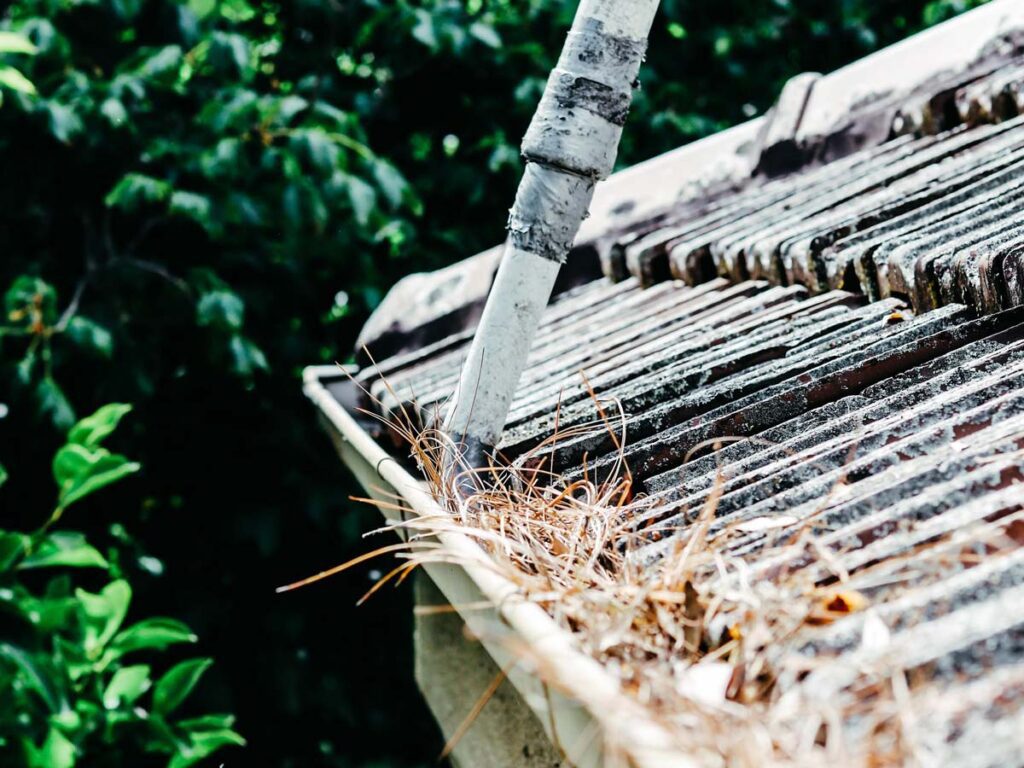 Residential & Commercial Gutter Cleaning & Roof Repairs Melbourne