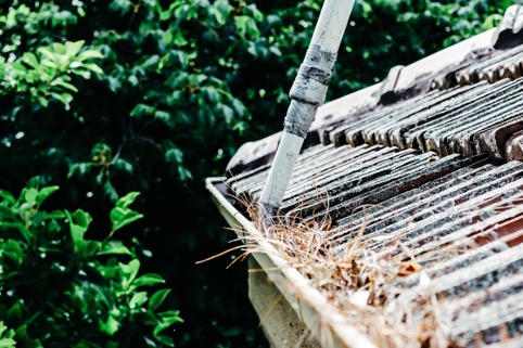 a professional gutter cleaning