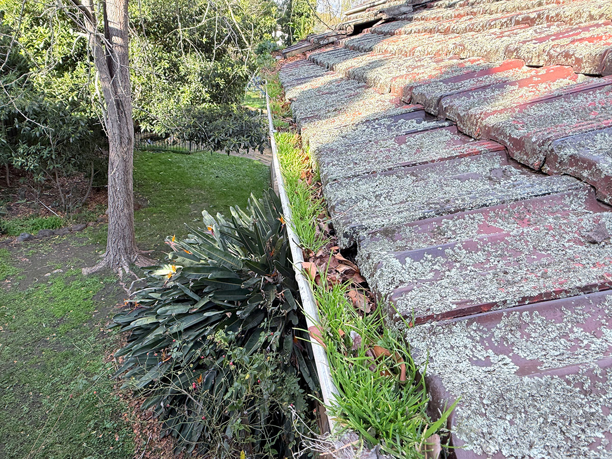gutter-cleaning-before gutter-cleaning-before