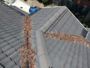 Melbourne gutter cluttered with leaves