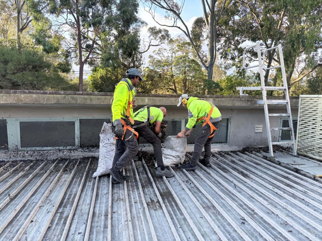 gutter maintenance on a Melbourne school roof with lots of detritus