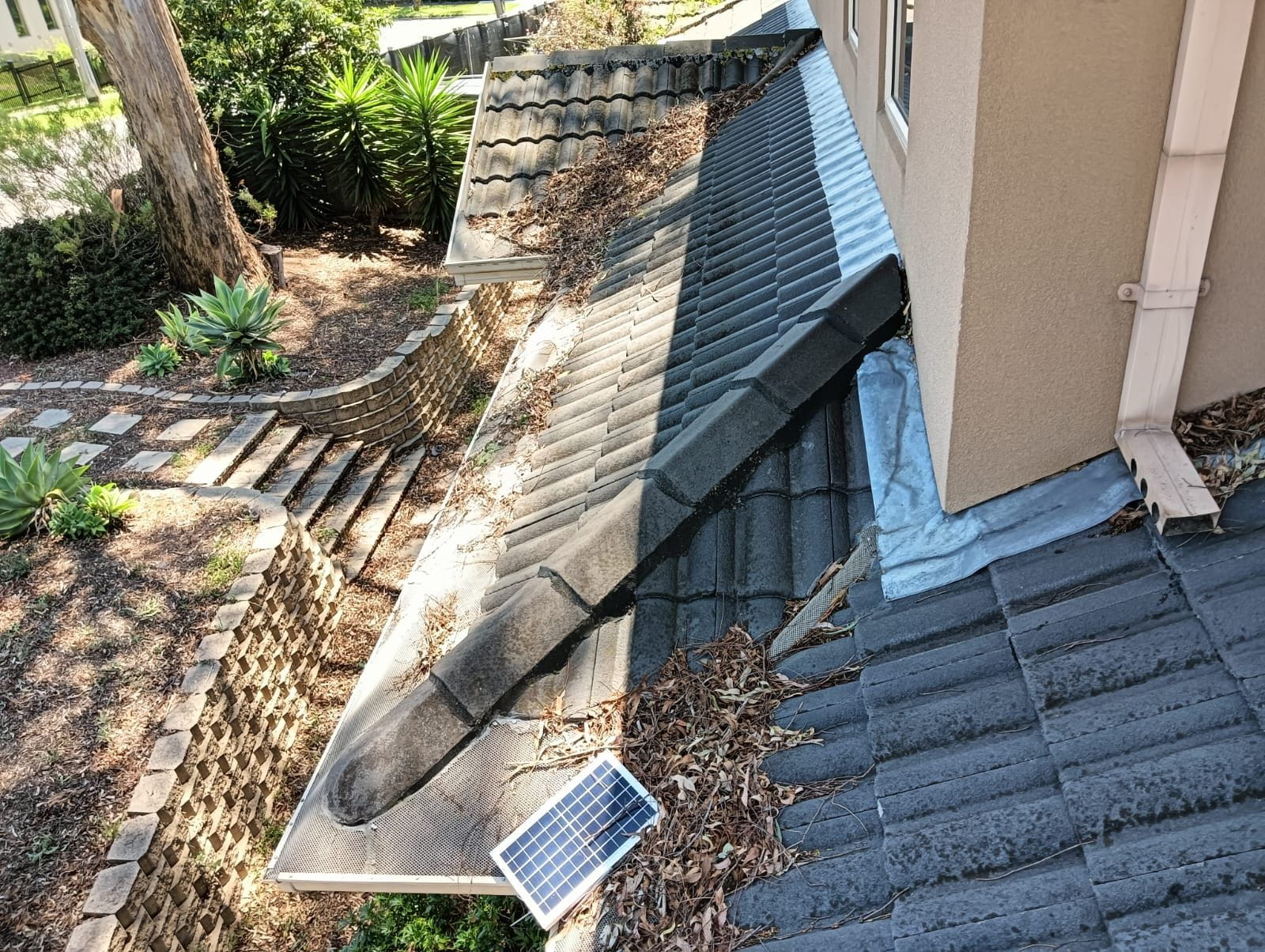 blocked drainage on a Melbourne property