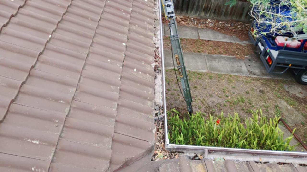 A single-storey brown-tile-roofed home in autumn Melbourne, with leaves caught along the gutter line and a mature gum tree overhanging the eaves.