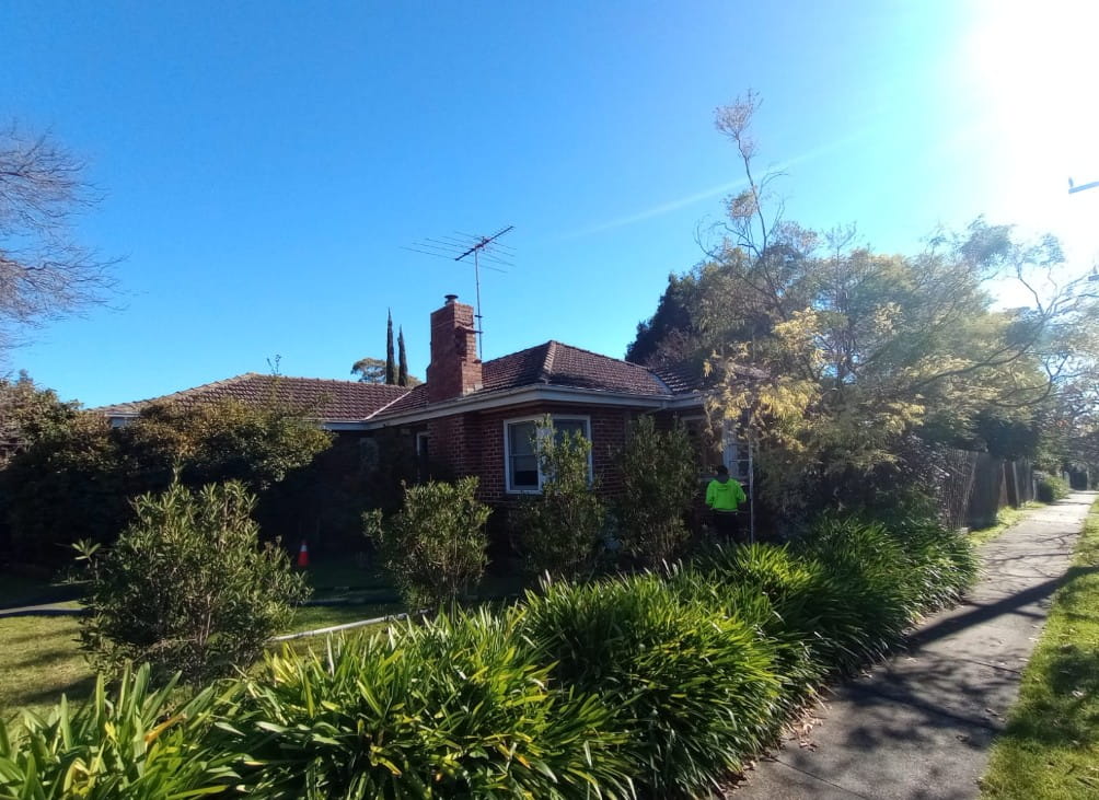 Single storey brick Melbourne home with a tiled roof and mature trees overhanging the right side