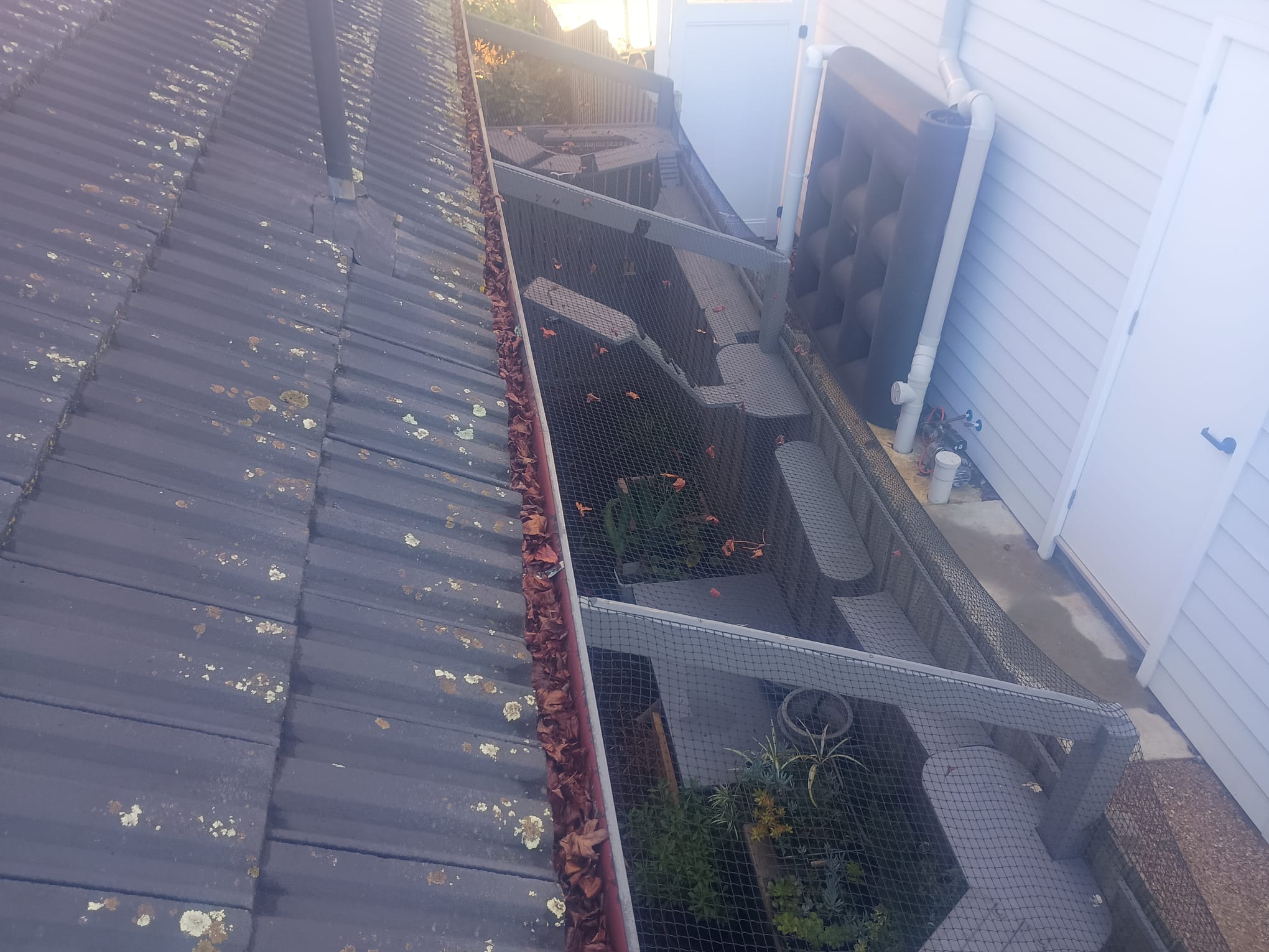 Forest Hill gutter packed with compacted brown leaves before cleaning, lichen visible on the roof tiles
