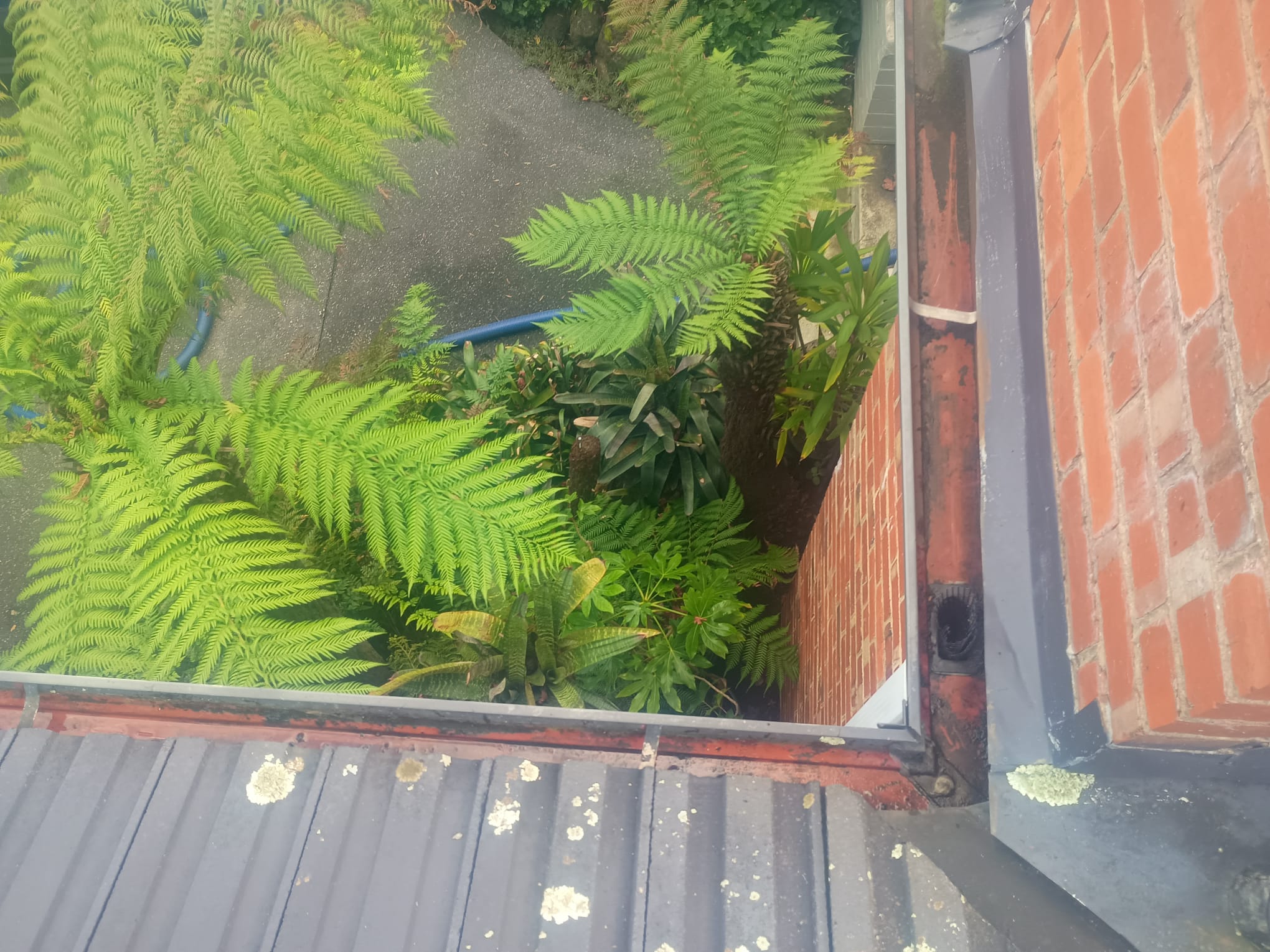 Cleared gutter corner with an open downpipe outlet after a Forest Hill gutter clean
