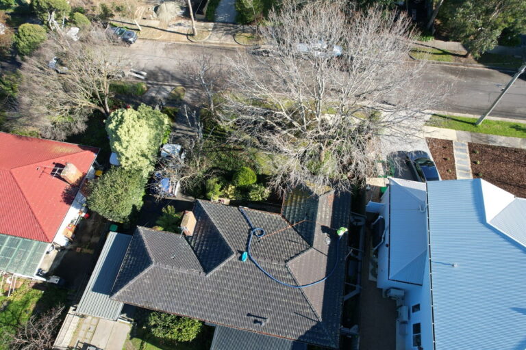 Aerial view of a Forest Hill home with a large deciduous tree overhanging the front roofline
