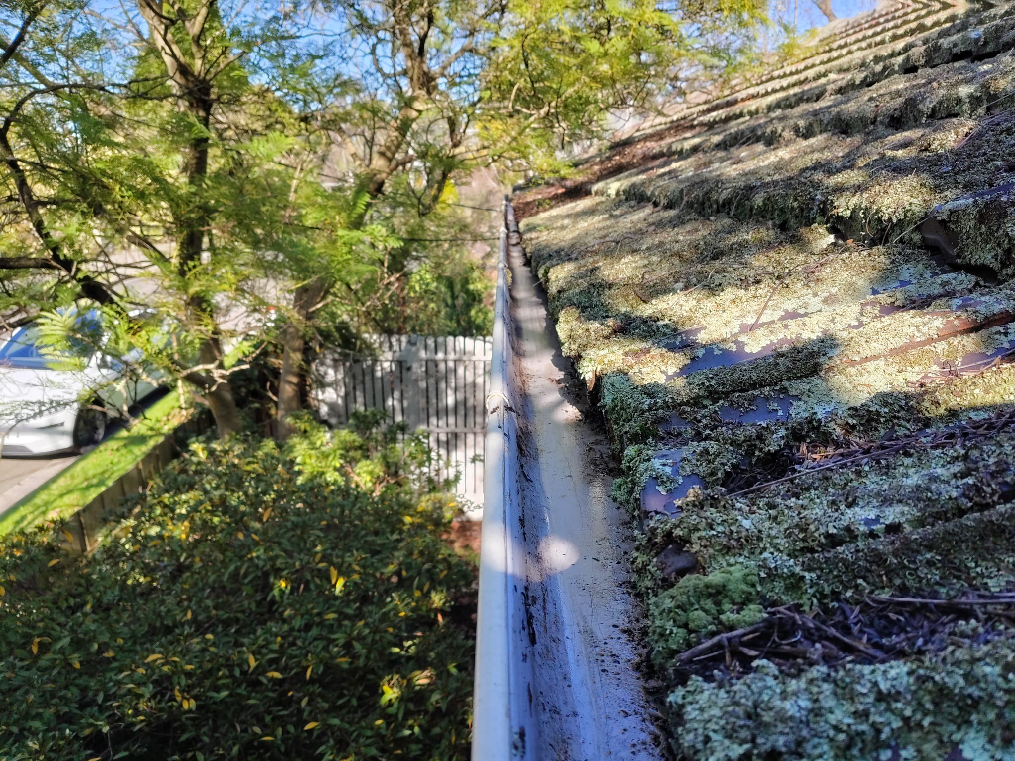 Tile roof covered in white and green lichen with leaf debris sitting in the gutter run below