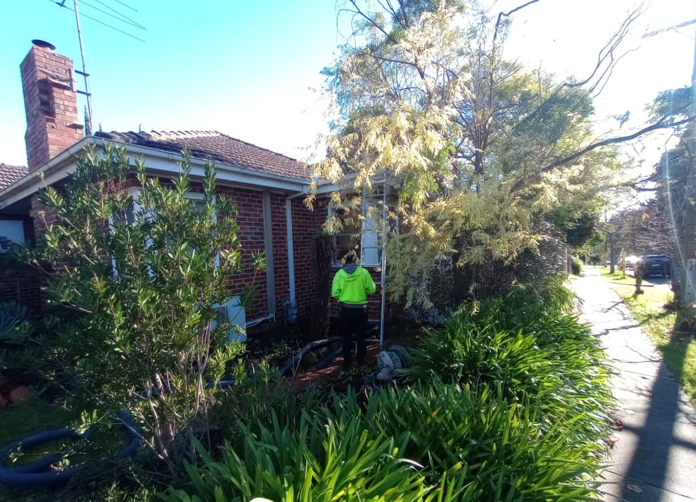 Technician using a ground level gutter vacuum pole beside a large tree overhanging the roofline